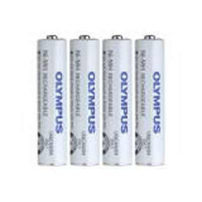 BR404 AAA Ni-MH Rechargeable Battery (Set of 4)